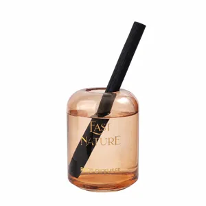 Modern minimalist glass reed diffuser bottle with black stick for home bedroom and living room decor.
