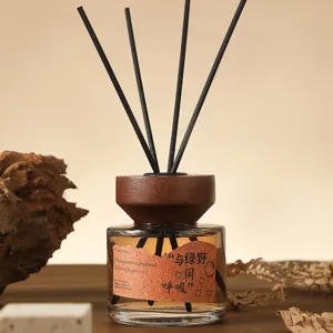 Bottiglia Diffusore a Bastoncini in Vetro Con Tappo in Legno E Bastoncini in Rattan Aromaterapia Deodorante Per Casa E Auto