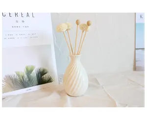 Weißer keramischer spiralförmiger Duftdiffusor Vasenset mit holzigen Trockenblumenstäbchen.