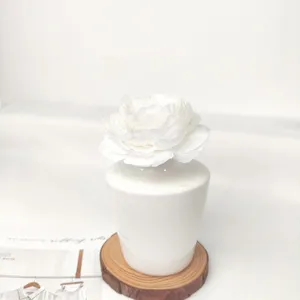 Nordische minimalistische weiße Keramikvase mit Diffusorblume für elegante Tischdeko.
