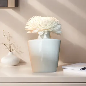 Nordico Minimalista Bianco Ceramica Fiore Vaso Diffusore a Bastoncini Set Lunga Durata Aromaterapia Scrivania Fragranza Ornamento