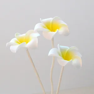 Macro detail of white and yellow PE plumeria flowers for aromatherapy diffusers.