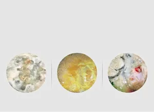Vue détaillée de la mousse, de l'huile et des impuretés pour la démonstration des ustensiles.