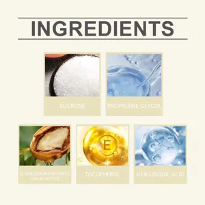 Detailed ingredient infographic showing active cosmetic components for nourishing lip care.