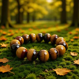 Natural tiger eye stone beaded bracelet, single circle gemstone jewelry for daily wear.