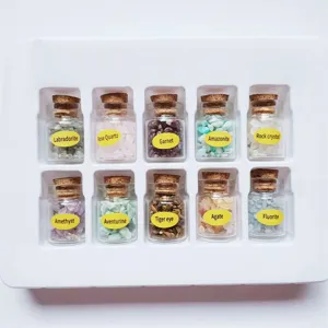 Natuurlijke kristallen verpletterde steen glazen flessen set met houten kurken.
