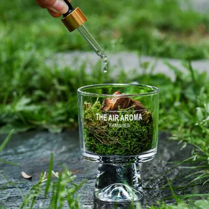 Glas Aromatherapie Diffuser Beker Met Vurenemos Natuurlijke Essentiële Olie Bosstijl Huisgeur Ornament