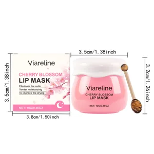 Detailansicht des rosa Kirschblüten-Lippenmasken-Glases, der Verpackungsbox und des Löffels.