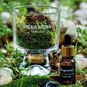 Denne mos diffuser beker set met etherische olie, natuurlijke bos stijl vlamloze aromadeco.