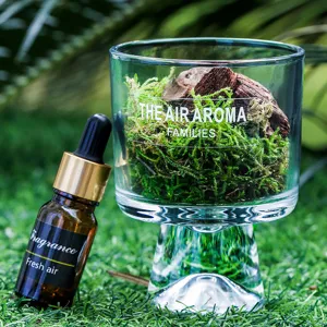 Dennenhout mos aroma diffuser kop set met essentiële olie voor huis geur decoratie.