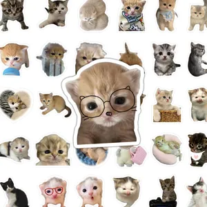 70 Pcs Cute Kitten Stickers Aesthetic Cat Meme Decals for Journaling Phone Case Water Cup