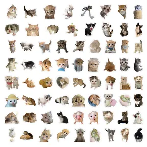 70pcs cute kitten stickers set, funny cat meme journal deco for phone case and water cup.