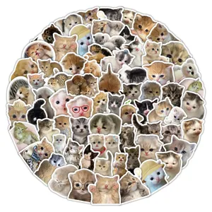 Cute kitten stickers pack aesthetic cat decals for journal water bottle phone case laptop decoration