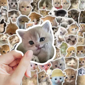 Cute kitten stickers 70pcs aesthetic cat decals for journaling laptop phone case water bottle.
