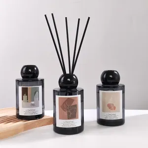 Minimalist Art Glass Bottle Reed Diffuser Set With Black Fibrous Sticks Air Freshener For Bedroom Hotel Home