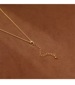 Close-up of a gold-toned lobster clasp and extension chain on a brown background.