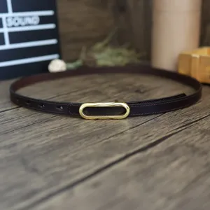 Detailed view of women's thin dark brown leather belt with elegant gold oval metal buckle.