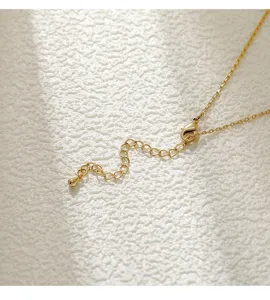 Close-up detail of a golden necklace lobster clasp and an adjustable extension chain