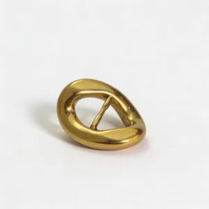 Zinc Alloy Irregular Oval Belt Buckle Golden Smooth Buckle Replacement Accessories For Women Belt Handbag Clothing