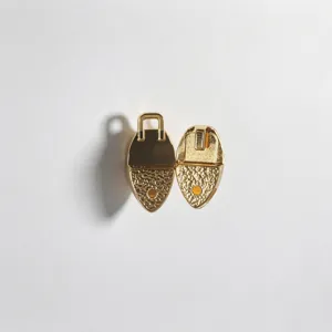 Detailopname van de gouden legering vintage gesp met reliëfdesign voor stijlvolle riemen.