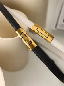 Primo piano della fibbia piatta da 15 mm per cintura da donna, elegante chiusura in lega.