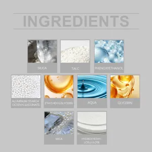 Detailed cosmetic ingredients infographic showcasing key oil control and setting powder components.