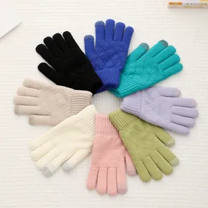 Women's Winter Warm Thickened Double Layer Knitted Touch Screen Gloves Jacquard Minimalist Casual Cold Weather Gloves