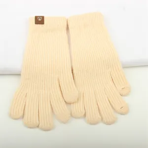 Women winter warm knitted gloves touchscreen beige fleece wool mittens stylish gloves soft
