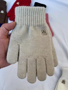 Winter warm knitted gloves with cute bear embroidery, solid color stretch touchscreen gloves.