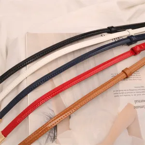Détail de fines ceintures réglables en cuir véritable pour robes de femmes, multicolore