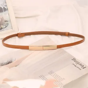 Détail d'une fine ceinture en cuir marron réglable avec une boucle dorée élégante