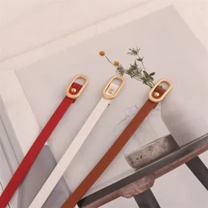Detailed view of women thin minimalist belt with elegant oval metal buckle, versatile for dresses.