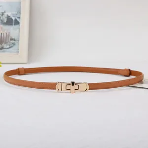 Detailed view of a elegant brown leather slim belt with gold lock buckle for women dresses.