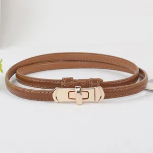 Detailed view of women's brown thin leather belt with elegant golden metal lock buckle.