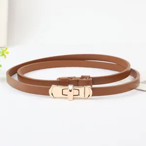 Smalle bruine lederen damesriem con gouden metalen gesp, stijlvol minimalistisch accessoire voor jurk.