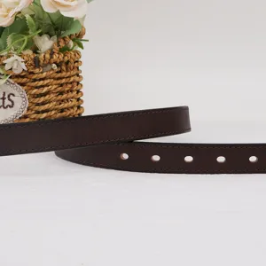 Ceinture en cuir marron rétro minimaliste pour hommes et femmes, design classique pour jeans.