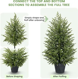 Detailed view showing the assembly of Norfolk Pine tree before and after fluffing
