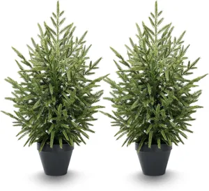 Pair of realistic artificial PE Norfolk Island Pine trees in classic black pots