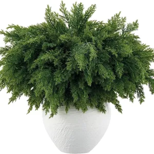 Realistic faux Norfolk pine potted plant in white textured pot for desktop decor