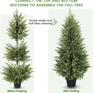 Realistic artificial Norfolk Pine Christmas tree before and after fluffing.