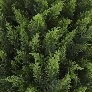 Close-up detail of lush green artificial boxwood foliage texture for garden decor
