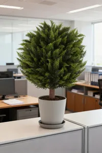Detailed view of artificial cypress topiary tree in white pot for office desk decoration