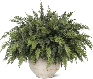 Realistic artificial cedar greenery bush in rustic textured white ceramic pot for home decor