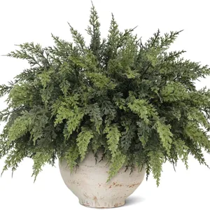 Lifelike artificial green cedar bush in rustic white ceramic pot for home and garden decor
