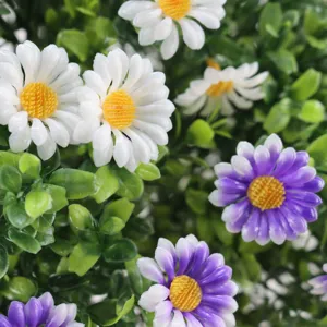 Close-up of white and purple artificial daisy flowers with green boxwood foliage.