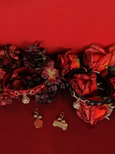 Collare choker per animali domestici in pelle nera e rossa con campanello in metallo.