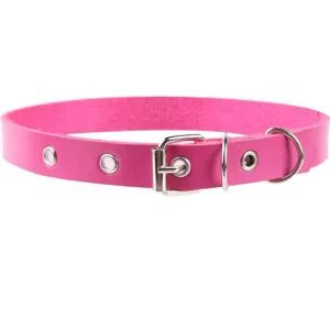 Girocollo in pelle rosa con fibbia in metallo argentato e occhielli metallici di stile
