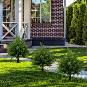 Three realistic artificial cedar garden stakes on a lush lawn near a modern house.