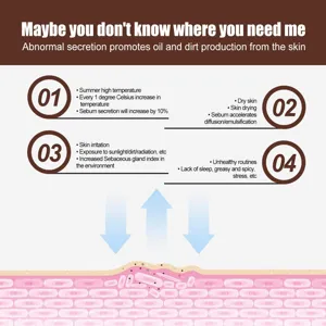 Gedetailleerde infografiek over de talgsecretie van de huid voor de gezichtsroller.