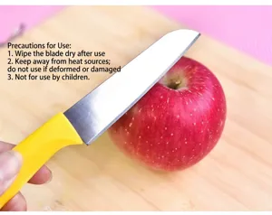Gros plan détail du couteau à fruit en acier inoxydable avec un beau manche jaune.